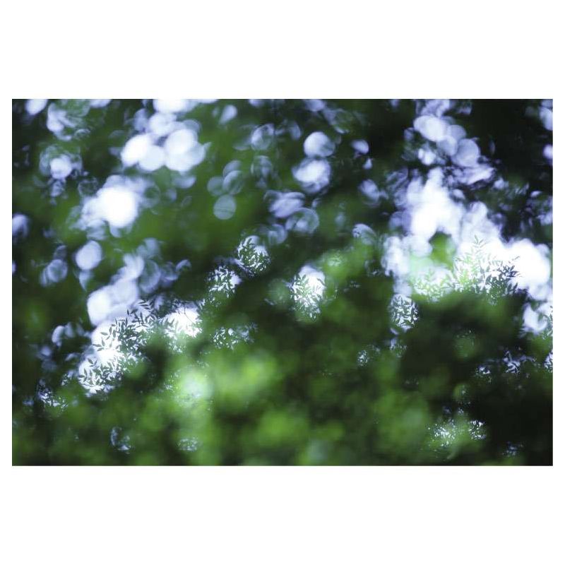 GREEN FOLIAGE poster - Green poster