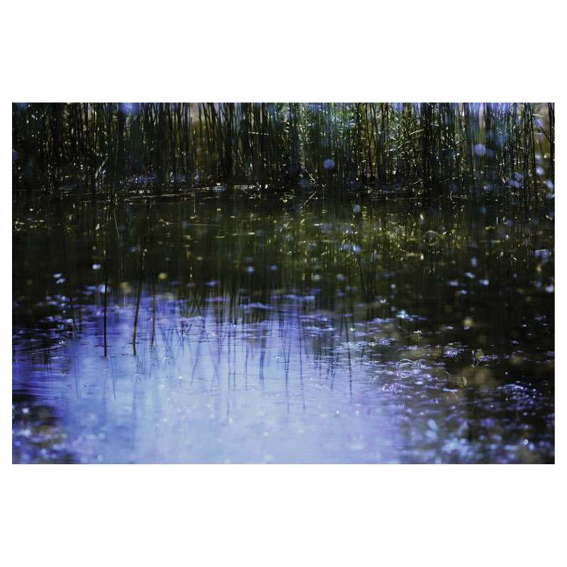 ABSTRACT canvas print - Landscape and nature canvas