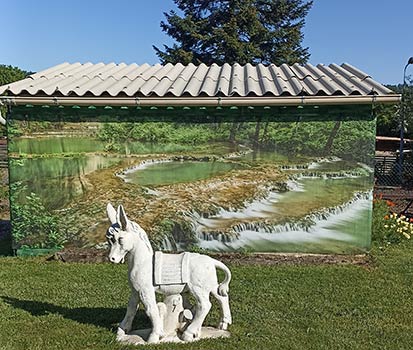 Brise vue cascade abri de jardin