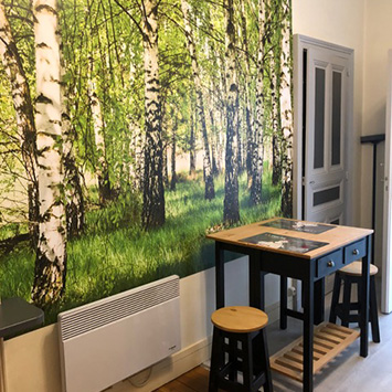 Marcel's birch forest wallpaper
