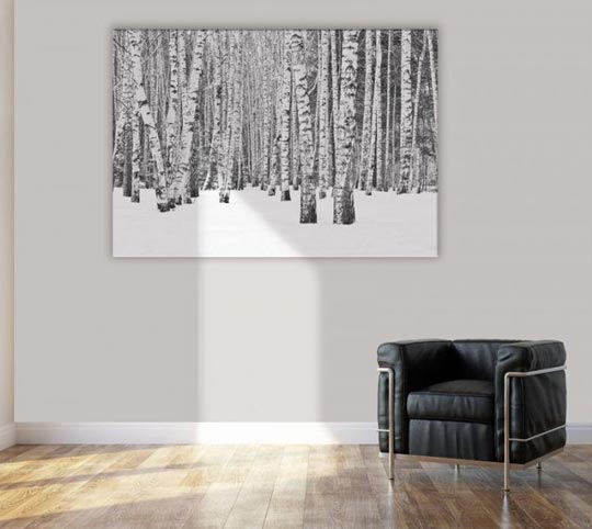 Tableau mural noir et blanc