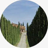 Thème trompe l'oeil perspective