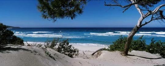 Brise vue design plage