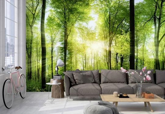 Póster panorámico de bosque en una sala de estar