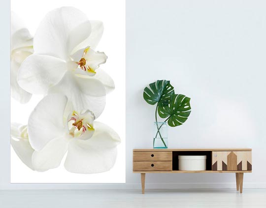 Tapiz de pared con orquídeas de flor blanca