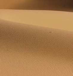 Foto del desierto