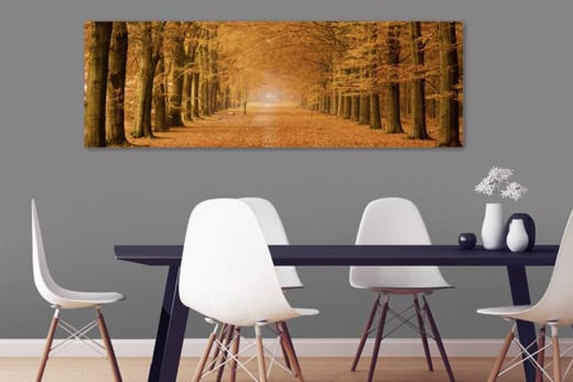 Forest in autumn canvas print