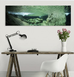 Water green canvas print