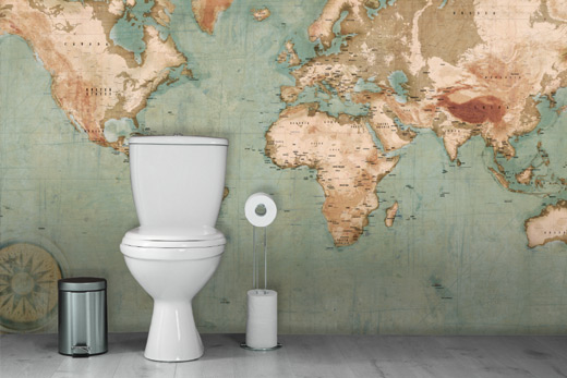 Déco murale toilettes carte du monde