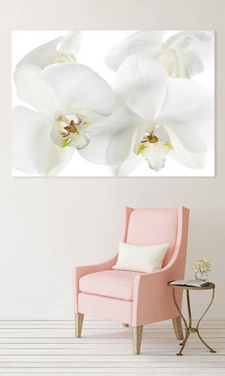 Lienzo de orquídeas blancas