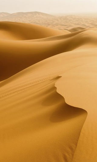Lienzo desierto del Sahara
