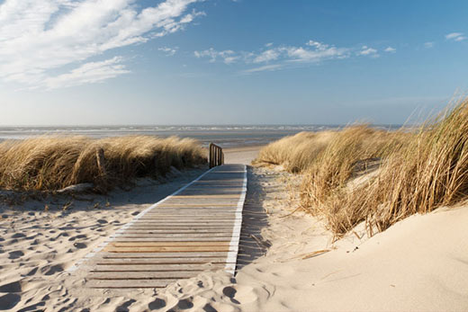 Tableau trompe l'oeil plage des dunes