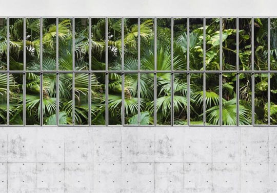 Poster panoramique imitation béton et verrière végétale